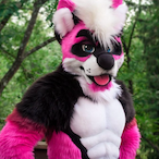 Furrylover27's Avatar'