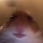 xAstroDan's Avatar'