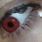 Shepzev's Avatar'