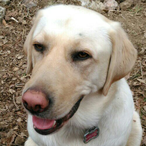 Clunenator's Avatar'