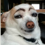 IBusxtedInMyDog's Avatar'