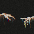 HOC_Brandon's Avatar'