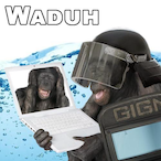 Harmesan.rat's Avatar'