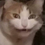 MarceloATR's Avatar'