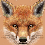 jack dadogof's Avatar'