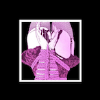 Rigel_Centauri's Avatar'