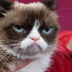 Grumpyc4t.'s Avatar'