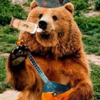DrunkBear21's Avatar'