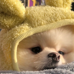 HaeChan._.'s Avatar'