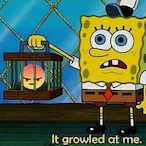 GUCCITOMATO1678's Avatar'