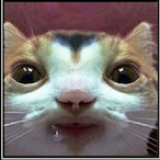 J3ffyeqstein's Avatar'