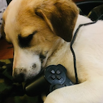 EthanGhostSulk's Avatar'