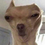 parafingamol's Avatar'