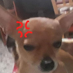 vincirama44's Avatar'