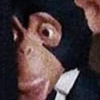 chiquitoso's Avatar'