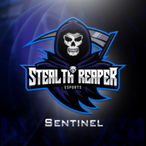 sR Sentinel's Avatar'