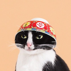 Kaleidomi's Avatar'