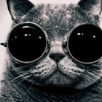 uns.silent's Avatar'