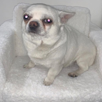 johnny_g_rossoTT's Avatar'