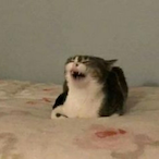 IgoonOnMonti's Avatar'