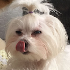 LisbonTheInspec's Avatar'