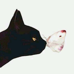 Ai.Q_X.Mu's Avatar'
