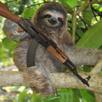 Sloth.Reflexes's Avatar'