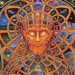 FoldyHoles's Avatar'