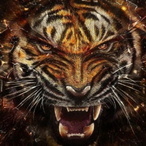 AleeP11's Avatar'