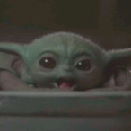 IleLicorne24's Avatar'