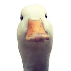 oops_0246's Avatar'