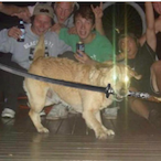 MetroDug's Avatar'