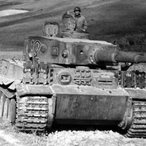 KingTiger1515's Avatar'