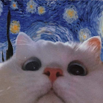 cattolyst's Avatar'