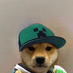 Itzchicken101's Avatar'