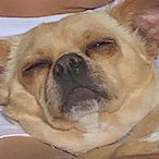 UnHeardOG69's Avatar'