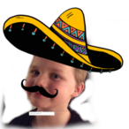 Aardepol's Avatar'