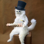 fishwithfishy's Avatar