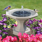 Birdbath95's Avatar'