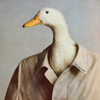 LDUCK's Avatar'