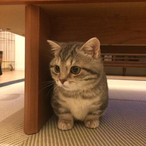 baitgod6969's Avatar'