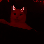 hakaayn's Avatar'
