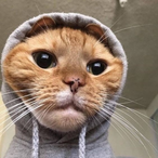 emrui_'s Avatar'