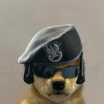 Kaikki's Avatar'