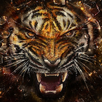 SpawnPekingDuck's Avatar'