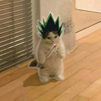 blacktoes.'s Avatar'