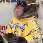 beersandchoss's Avatar'