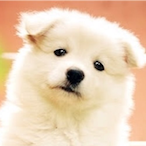 manyeol's Avatar'