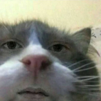 llTrash_Canll's Avatar'