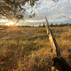 AresTheSwift's Avatar'